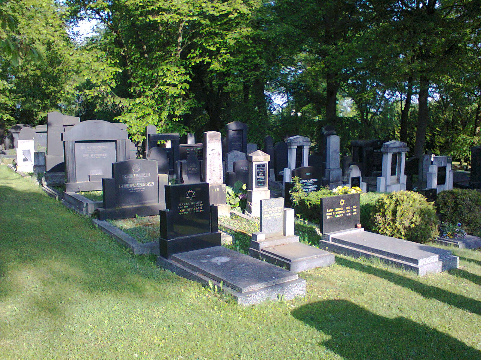 Židovský hřbitov Plzeň