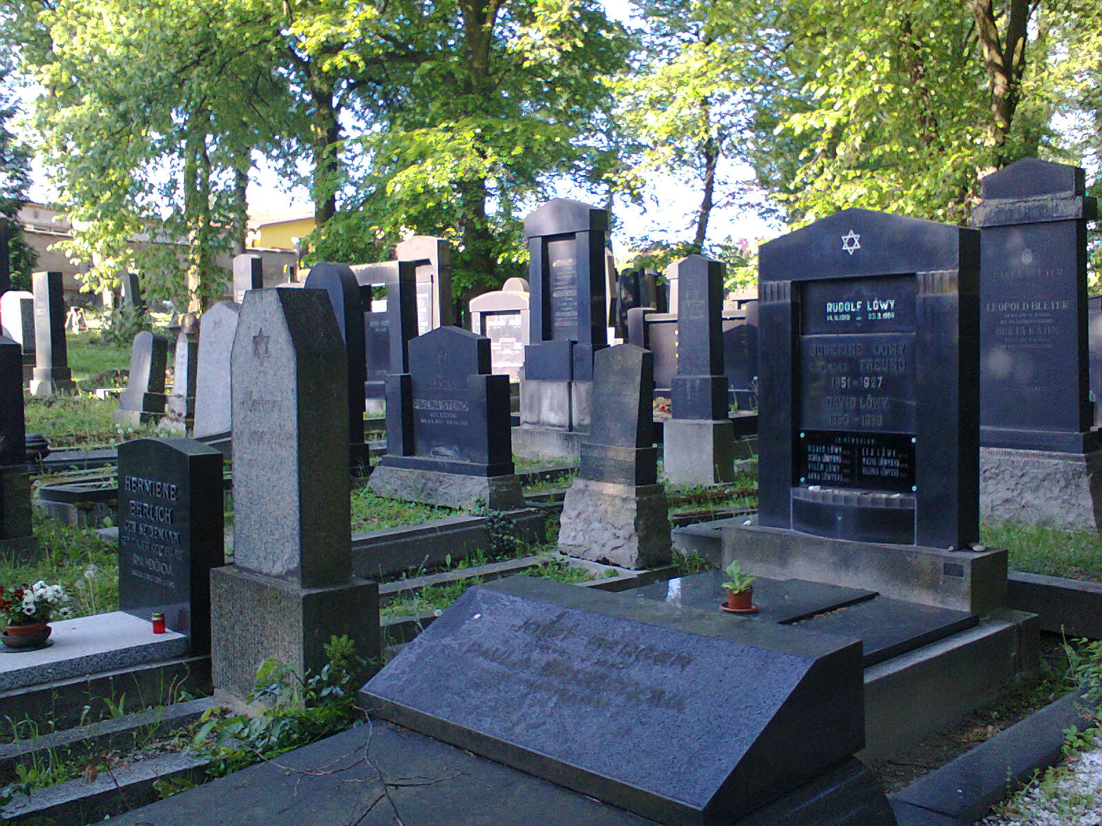 Židovský hřbitov Plzeň