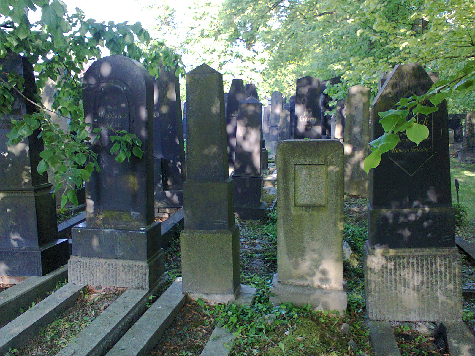 Židovský hřbitov Plzeň