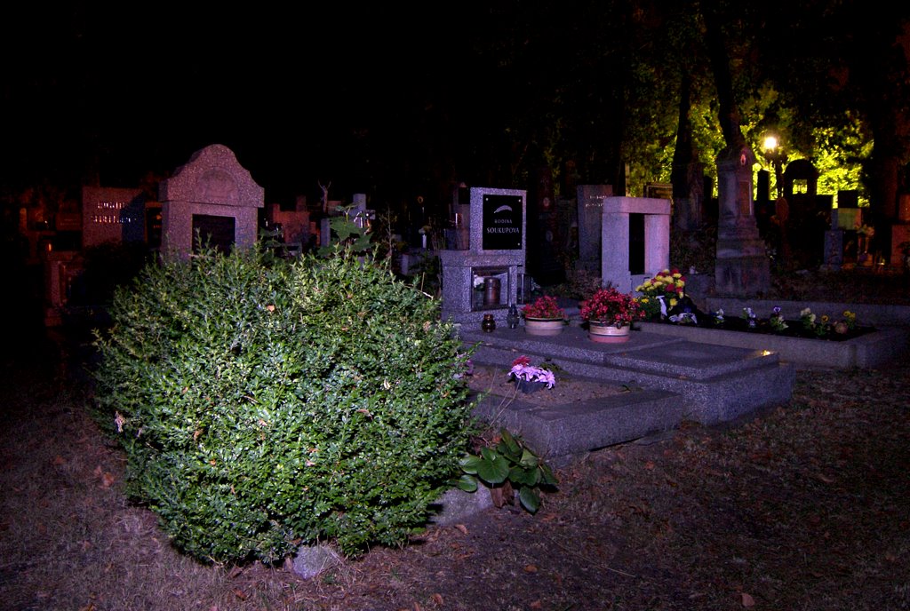 Noutonický hřbitov 2009 - foto Martin Hübner