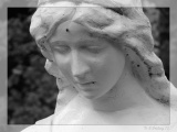 Foto F.Friday - Plzeň cemetery