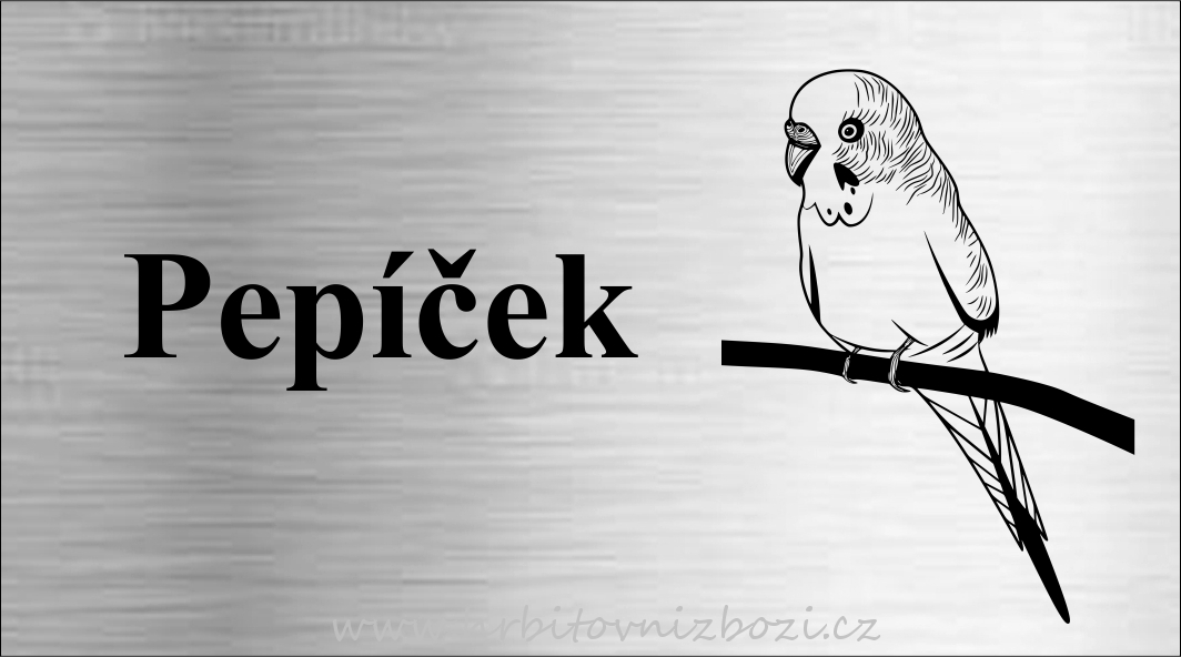 Rytá cedulka 6492