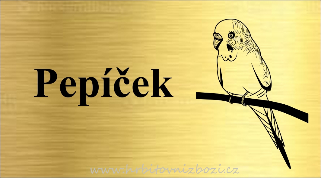 Rytá cedulka 6491