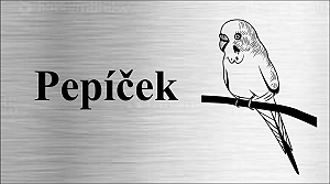 Rytá cedulka 6492