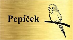 Rytá cedulka 6491
