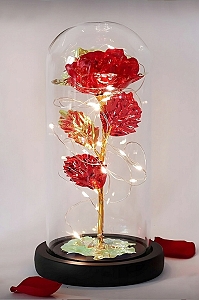 Růže do kolumbárního okna červená 21 cm vysoká