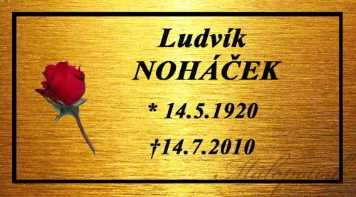 Hřbitovní urna plastová vínová s mosaznou ratolestí