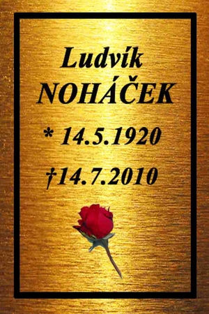 Hřbitovní urna plastová šedá