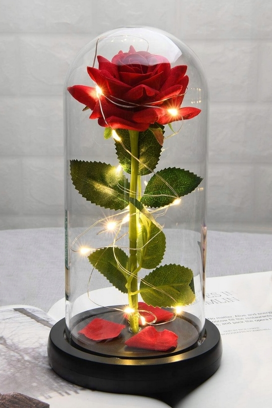 Růže do kolumbárního okna 21cm vysoká 